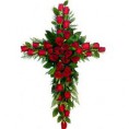 CRUZ ROSAS